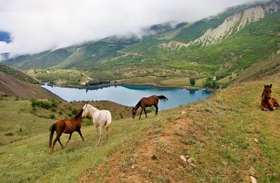  تور مازندران